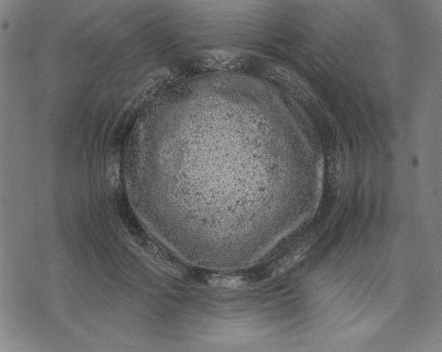 X0000072550602200607281650