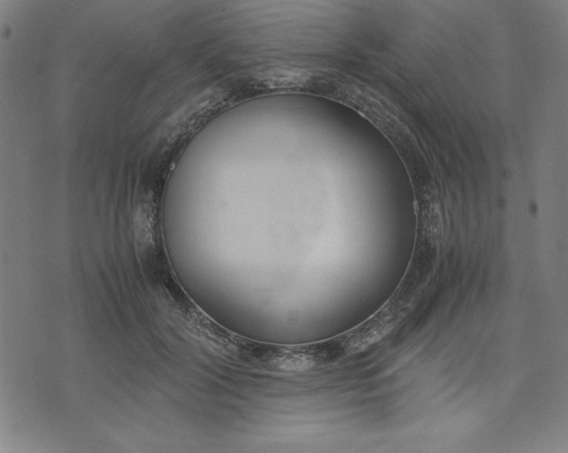 X0000072550604200607281650