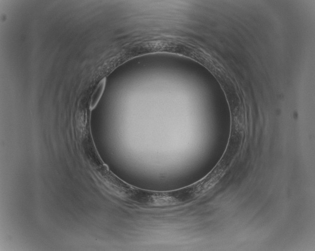 X0000072550605200607281650