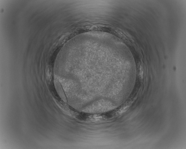 X0000072550607200607281650