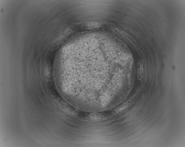 X0000072550608200607281650