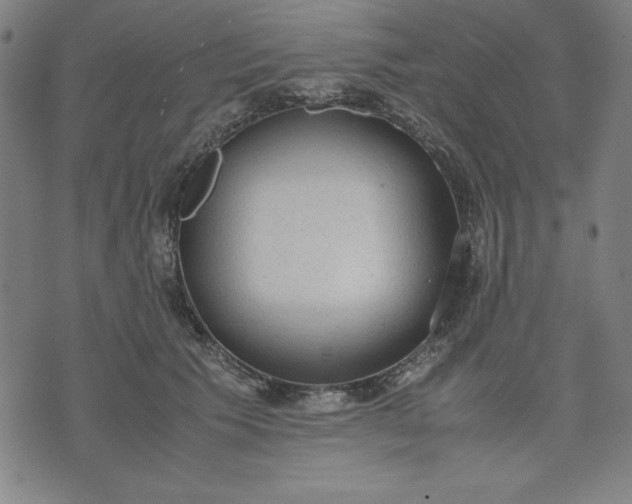 X0000072550609200607281650