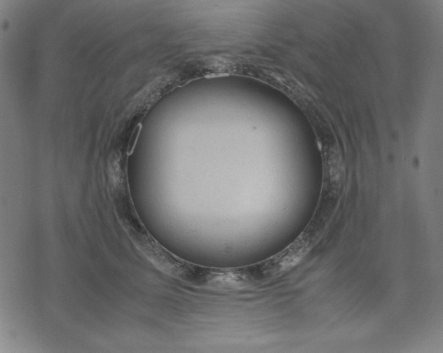 X0000072550611200607281650