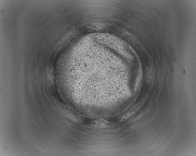 X0000072550612200607281650