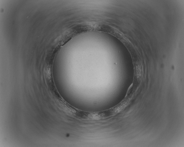 X0000072550613200607281650