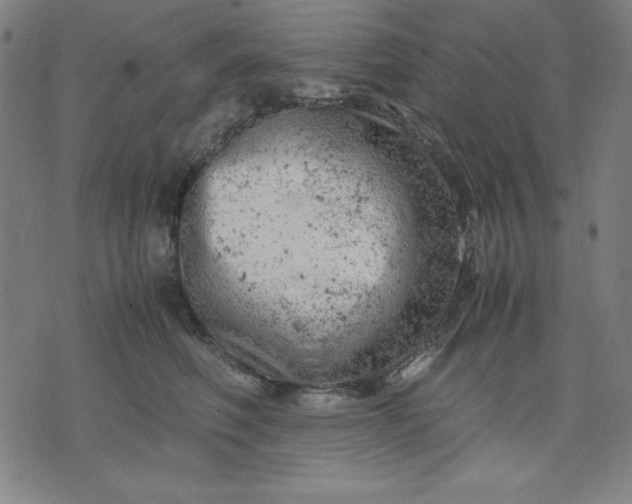 X0000072550614200607281650