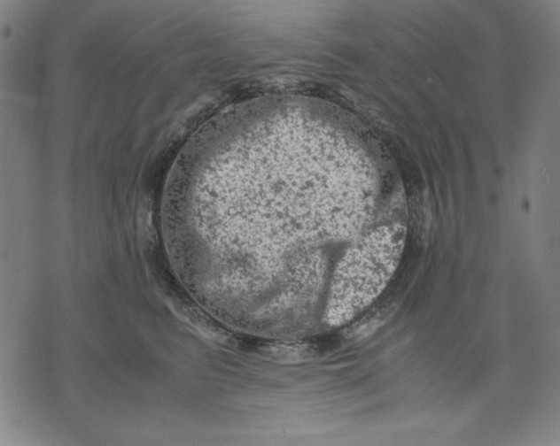 X0000072550615200607281650