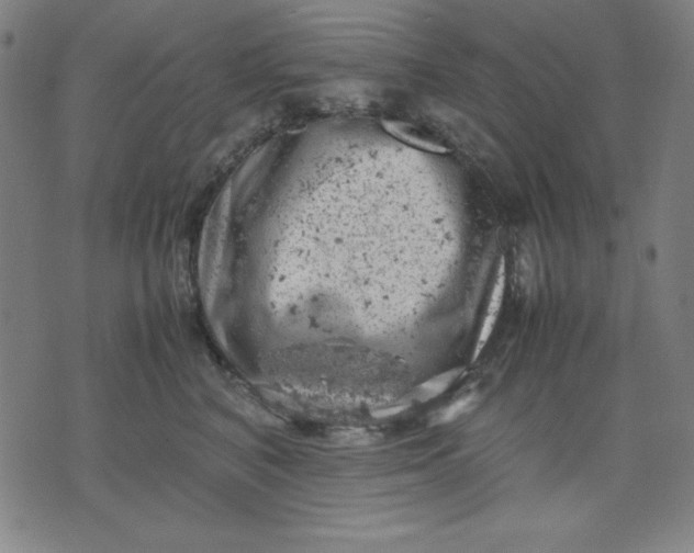 X0000072550616200607281650