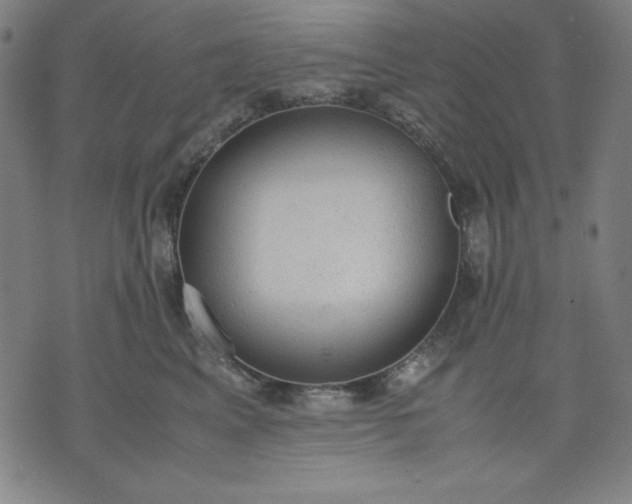 X0000072550617200607281650