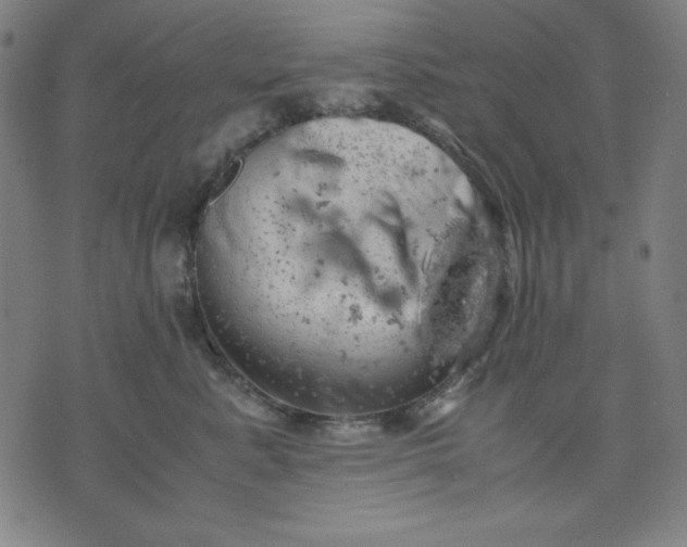 X0000072550619200607281650