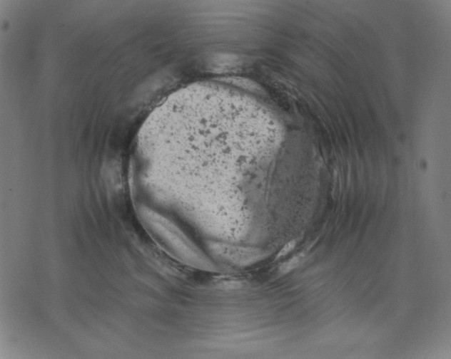 X0000072550620200607281650