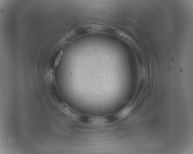 X0000072550621200607281650