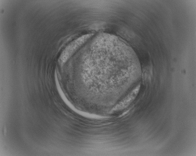 X0000072550623200607281650