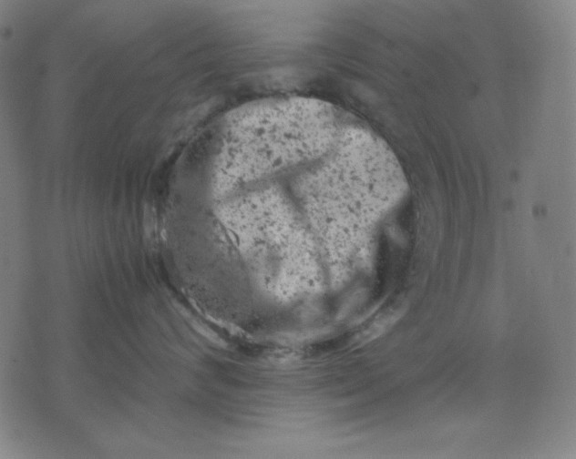 X0000072550624200607281650