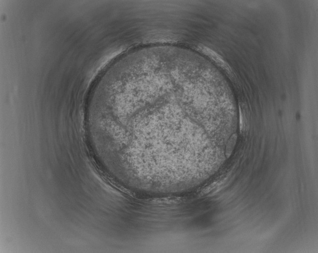 X0000072550627200607281649