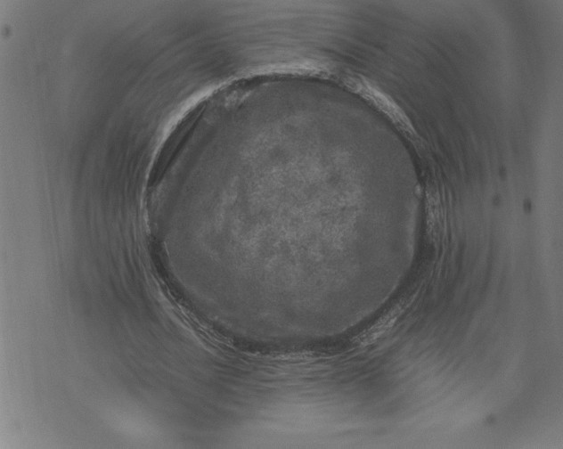 X0000072550628200607281649