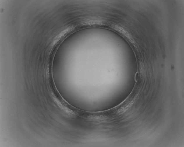 X0000072550629200607281649