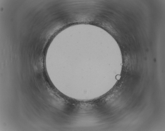 X0000072550632200607281649