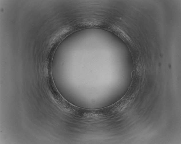 X0000072550635200607281649