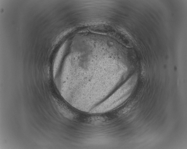 X0000072550636200607281649