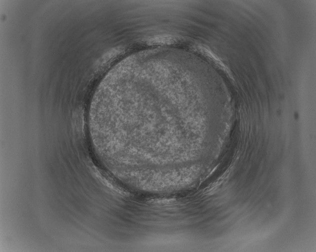 X0000072550637200607281649