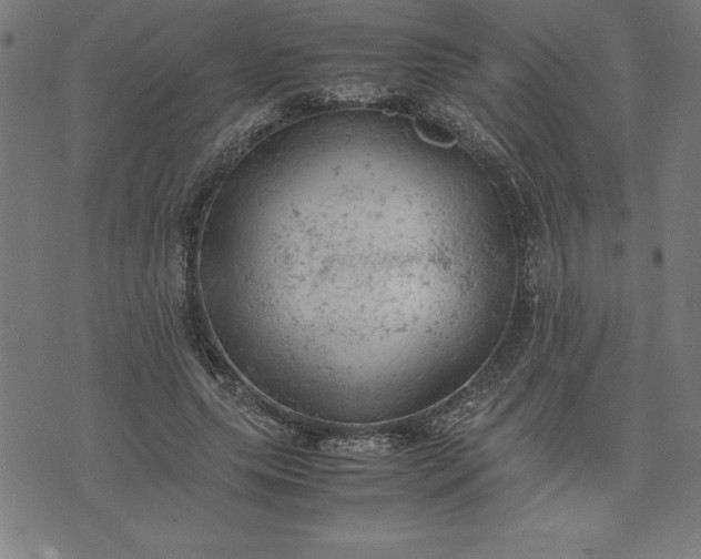 X0000072550639200607281649