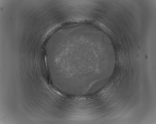 X0000072550640200607281649