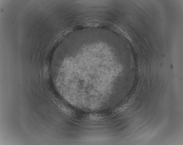 X0000072550641200607281650