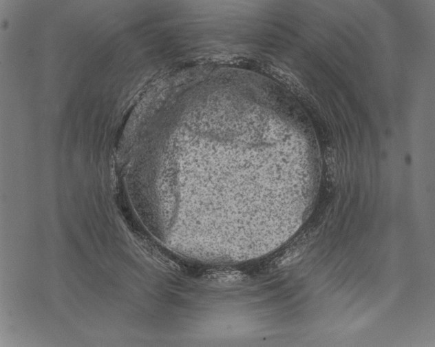 X0000072550642200607281650