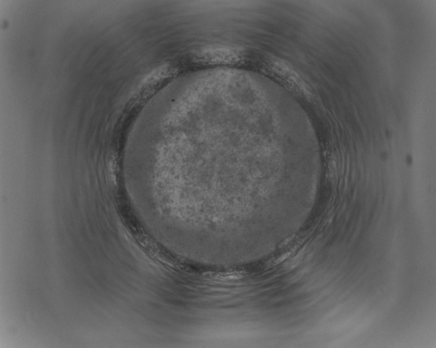 X0000072550643200607281650