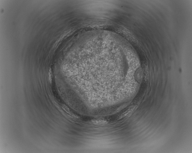 X0000072550644200607281650