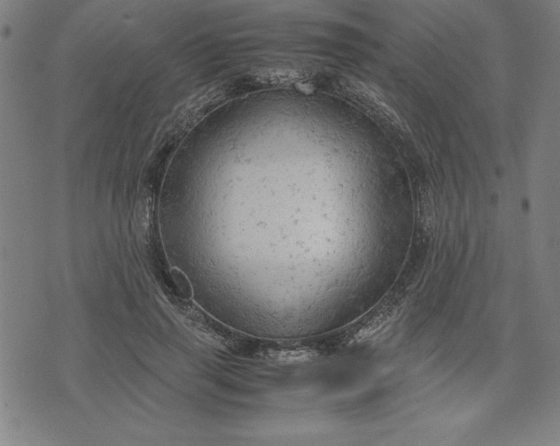 X0000072550645200607281650