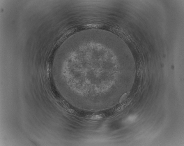 X0000072550647200607281650