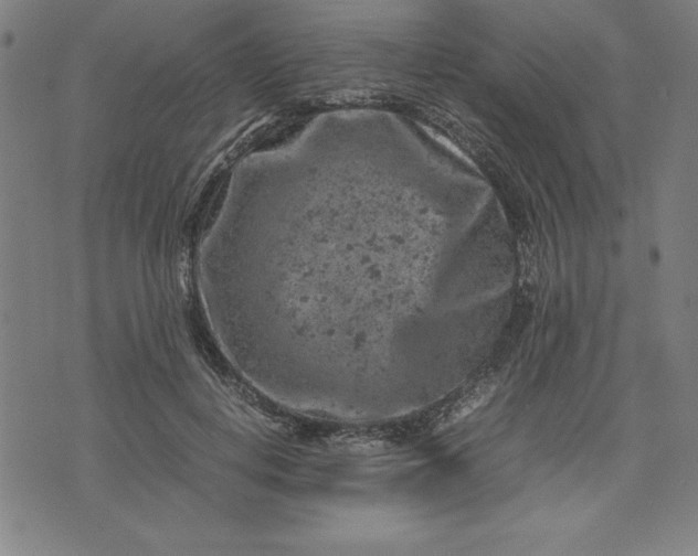 X0000072550648200607281650