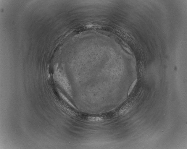 X0000072550649200607281650