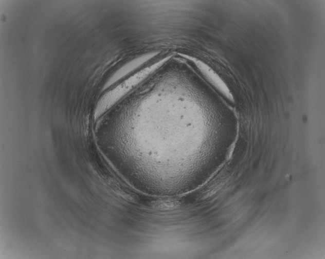 X0000072550652200607281650