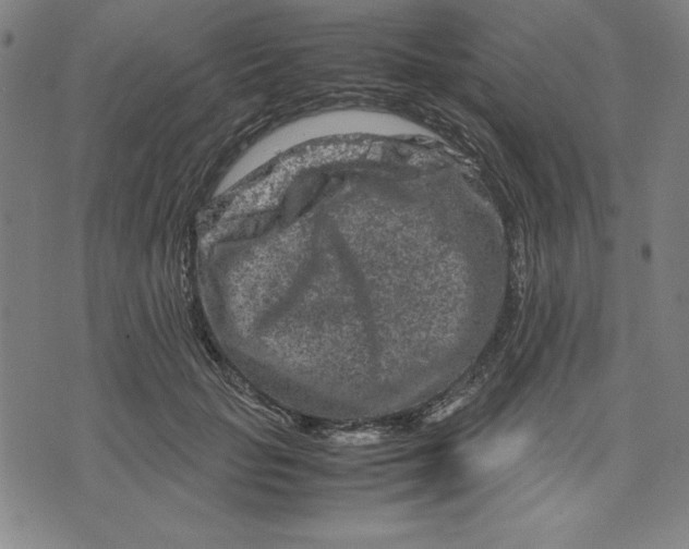 X0000072550653200607281650