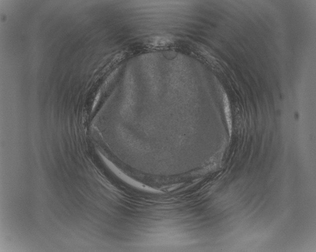 X0000072550654200607281650