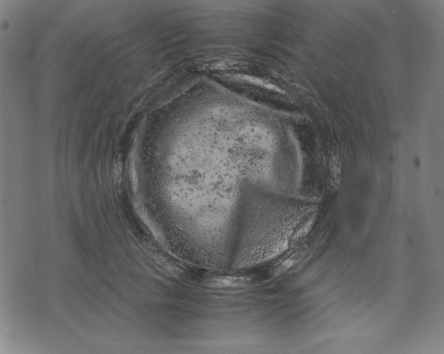 X0000072550657200607281650