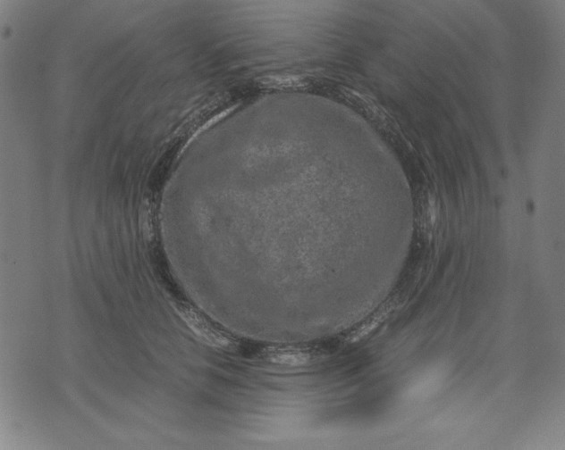 X0000072550658200607281650