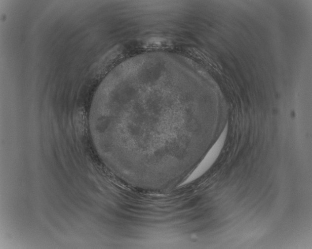 X0000072550659200607281650