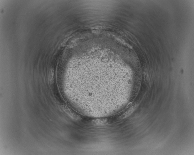 X0000072550660200607281650