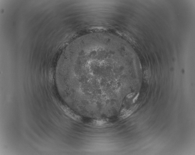 X0000072550662200607281650