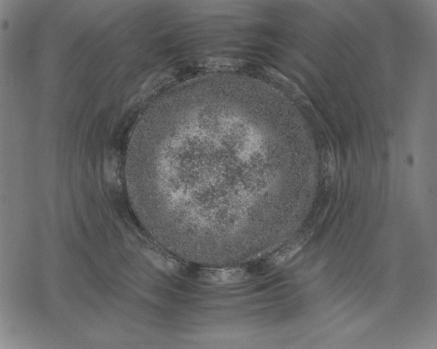 X0000072550663200607281650