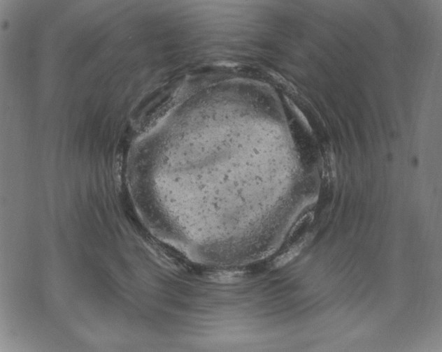 X0000072550664200607281650