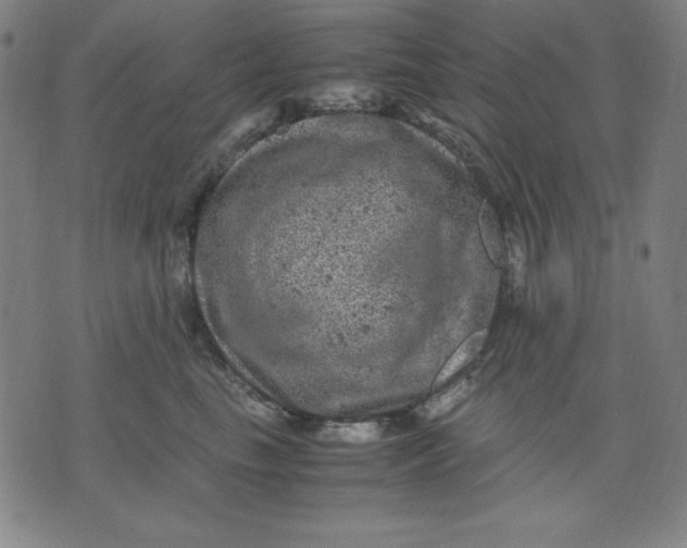 X0000072550665200607281650