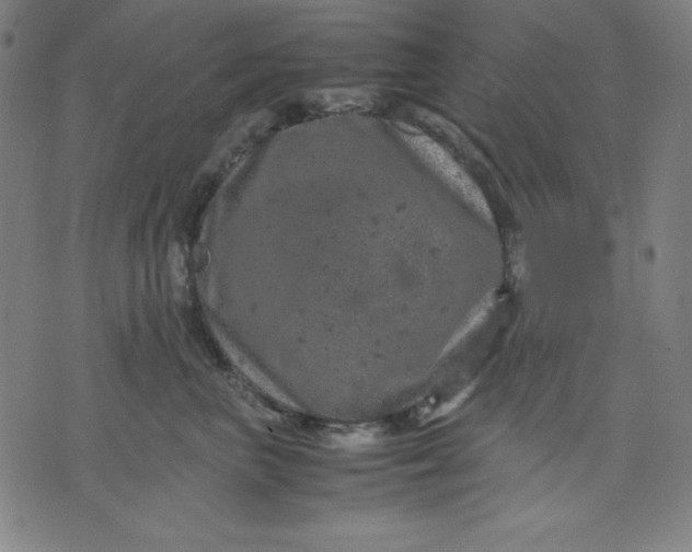 X0000072550667200607281650