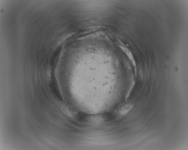 X0000072550668200607281650