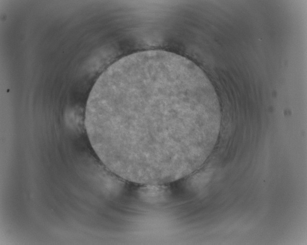 X0000072550672200607281650