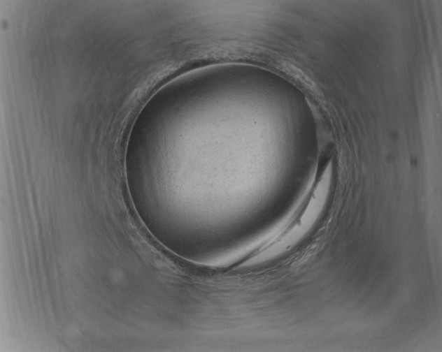 X0000072550673200607281649